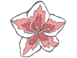 AZALEA FLOWER.gif